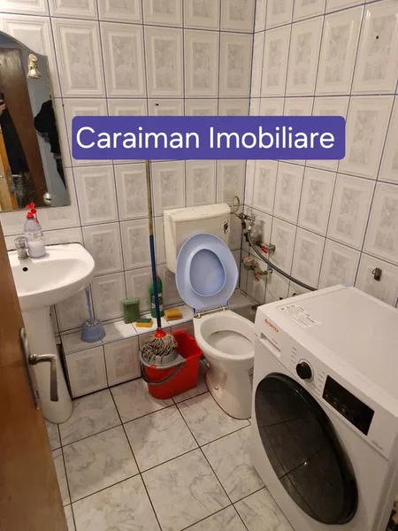 Obor, Colentina, Teiul Doamnei langa sectia 7 pol.