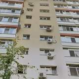 Obor, Colentina, Teiul Doamnei langa sectia 7 pol